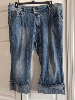 Y2K blue denim cropped jeans.  By Angels Jeans. 22W